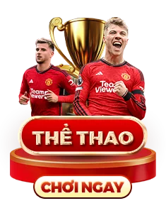 icon-the-thao-j88